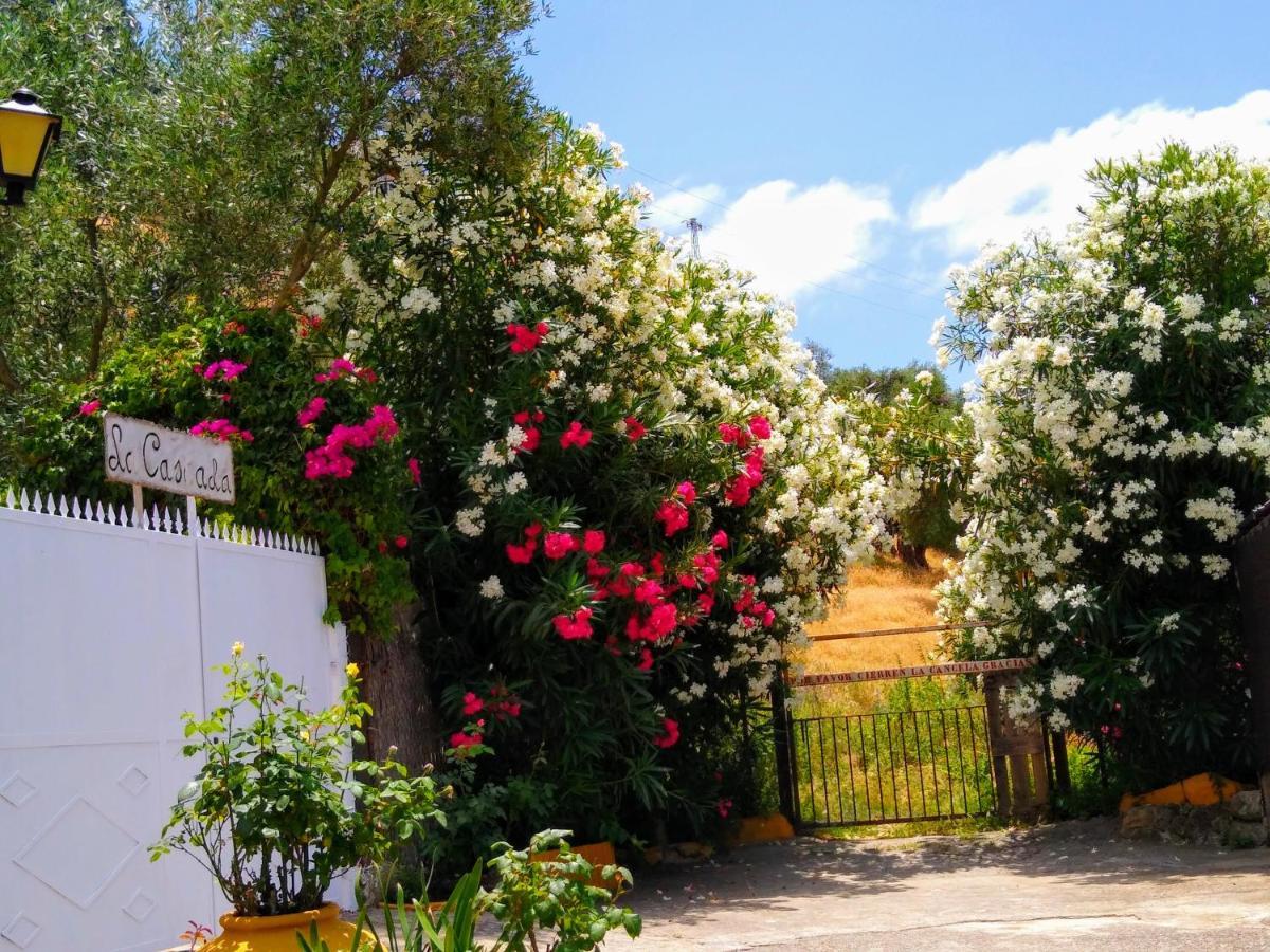 منزل الضيف البوسكي  في El Antiguo Molino المظهر الخارجي الصورة