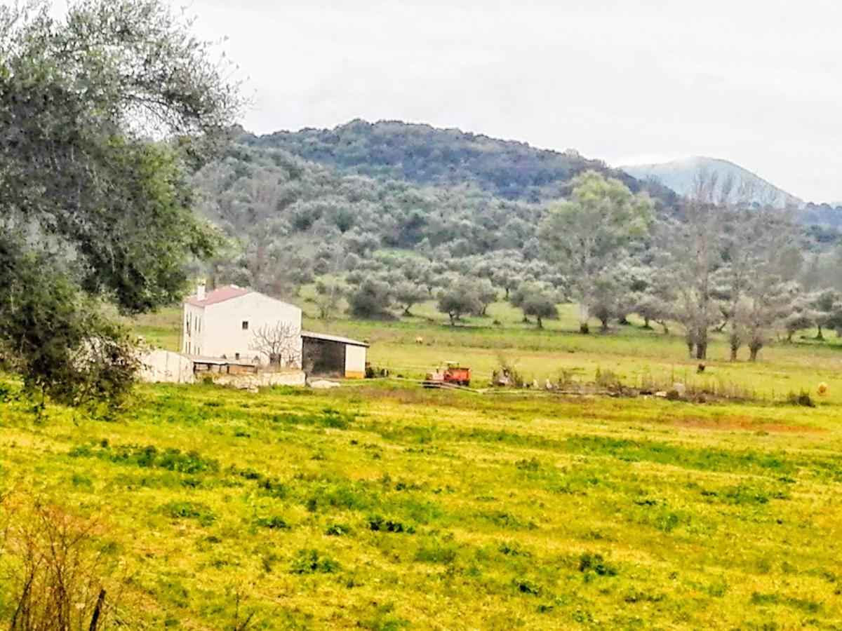 منزل الضيف البوسكي  في El Antiguo Molino المظهر الخارجي الصورة