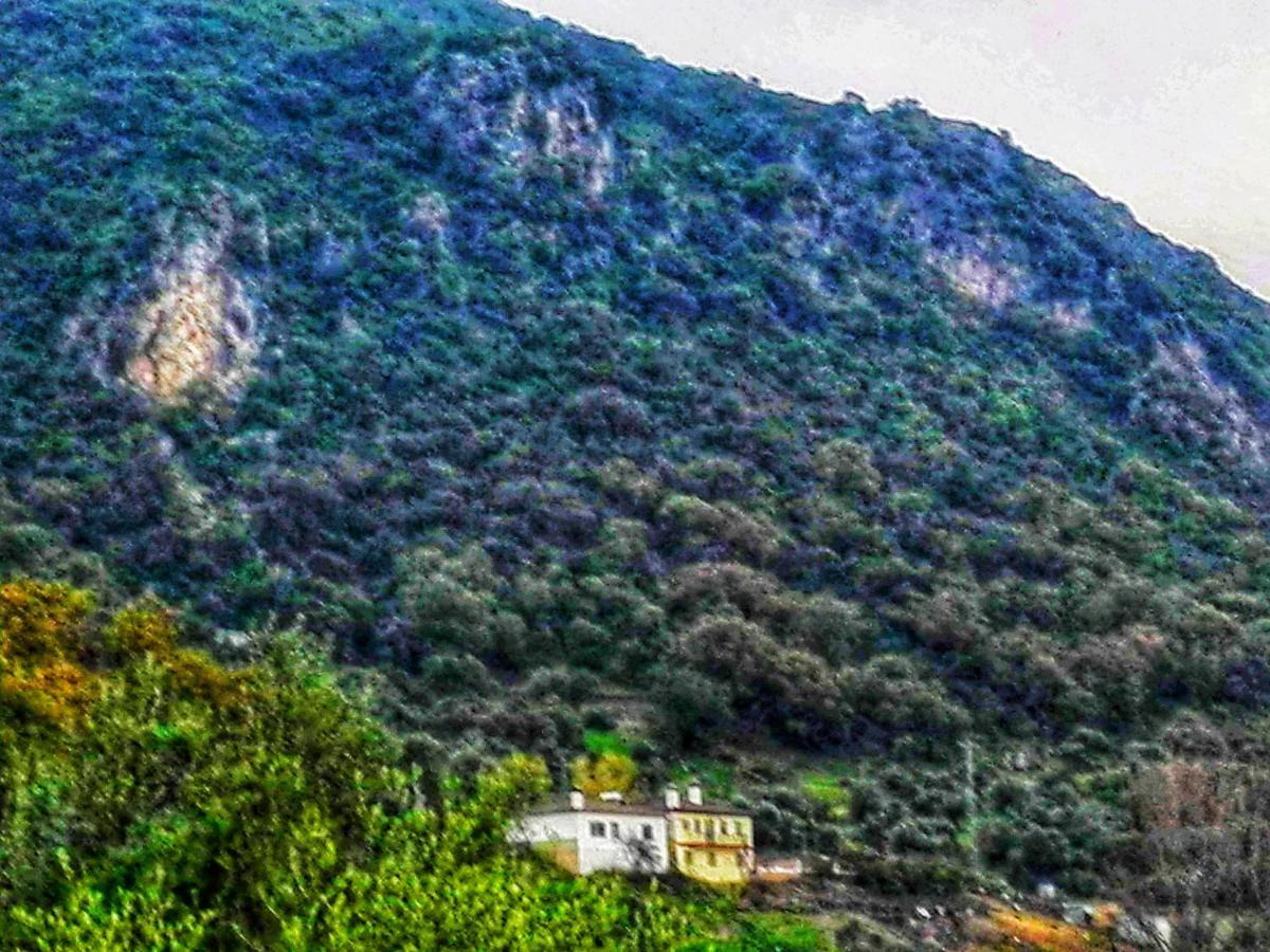 منزل الضيف البوسكي  في El Antiguo Molino المظهر الخارجي الصورة