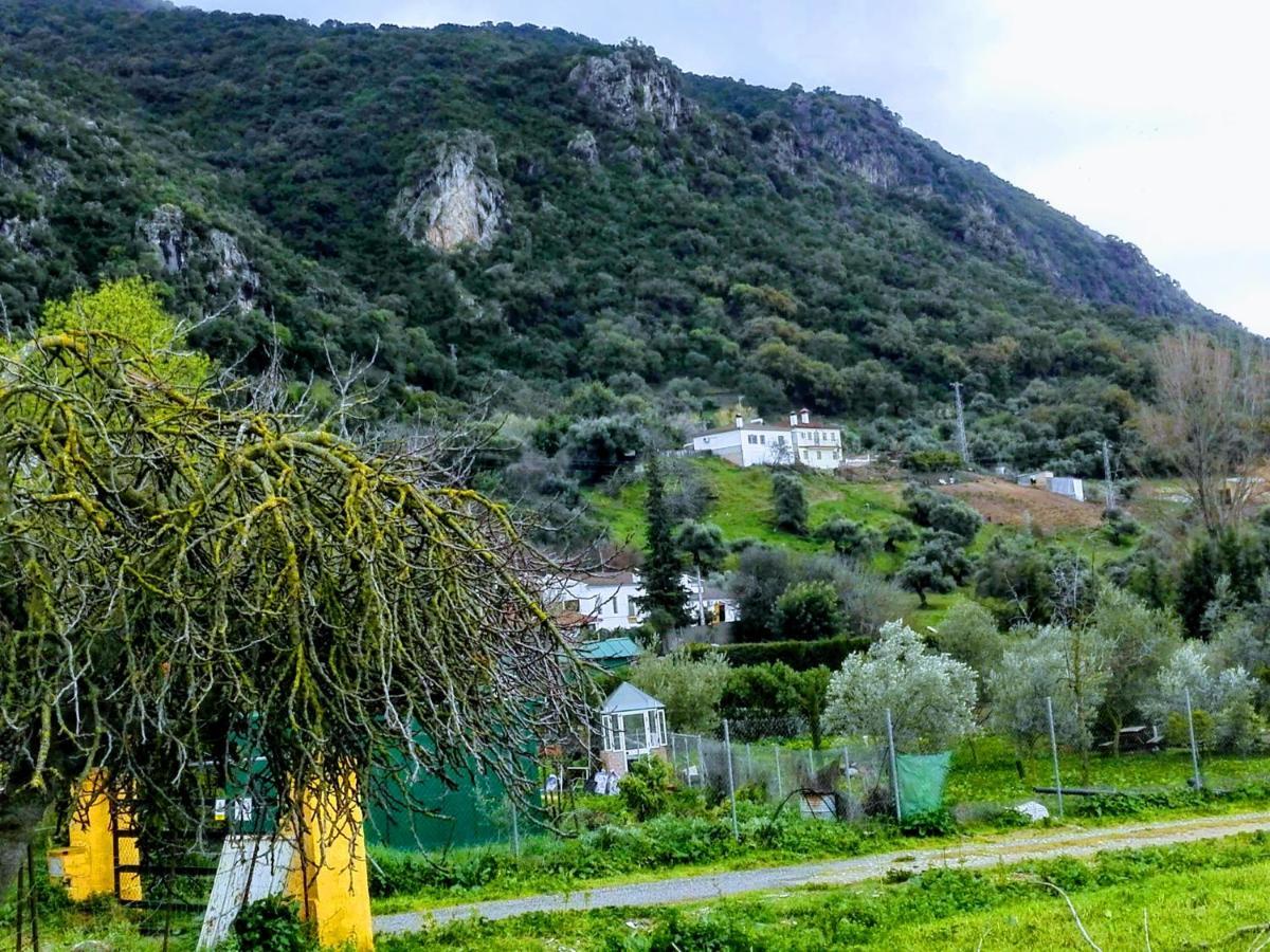 منزل الضيف البوسكي  في El Antiguo Molino المظهر الخارجي الصورة